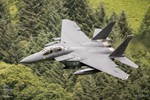 F15-161