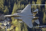 F15-19