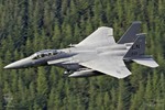 F15-32