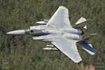 F15-51