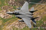 F15-81