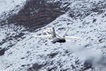 Axalp-020