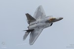 F22-8